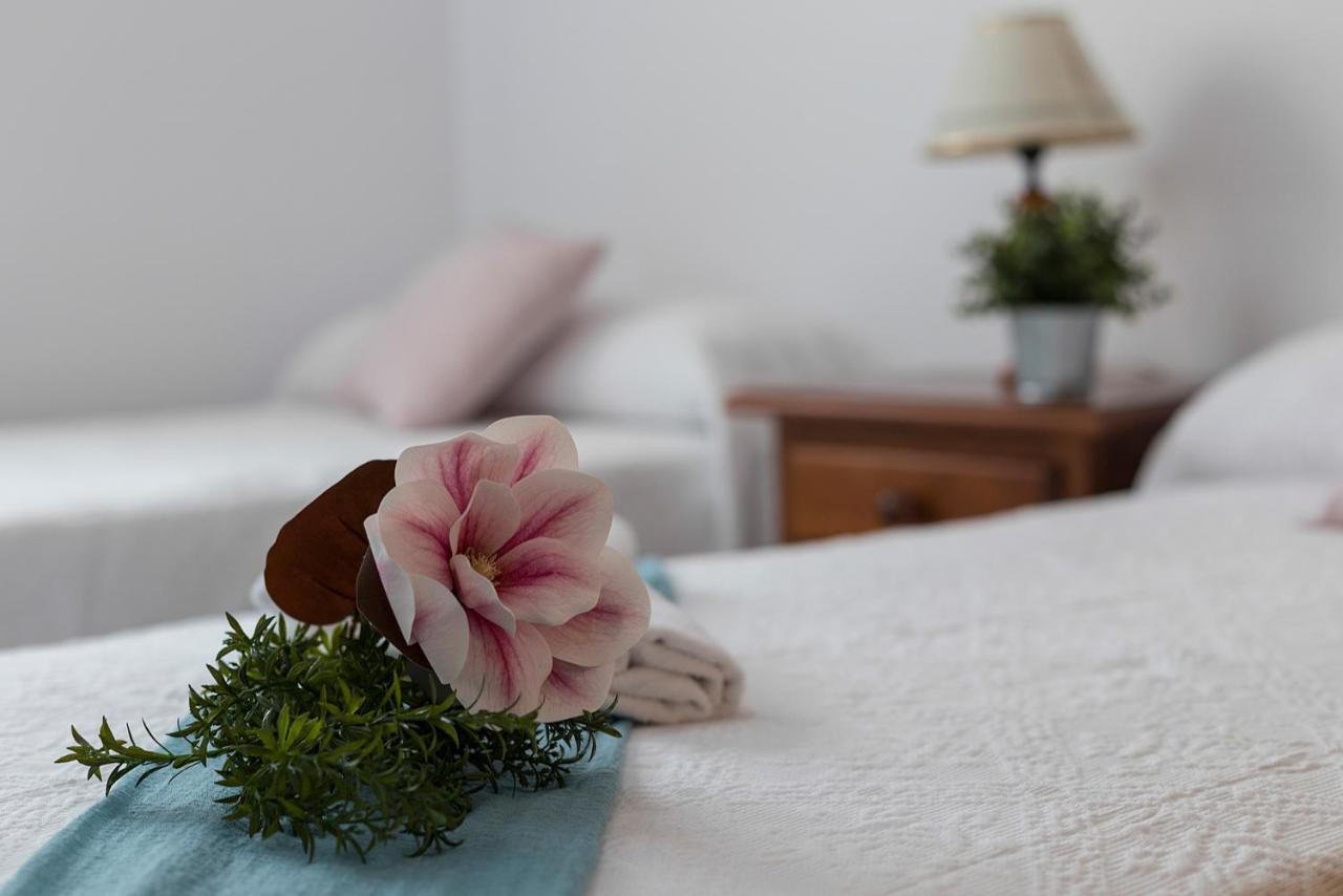 Avenida Playa 3 Rooms 2 Banos カディス エクステリア 写真
